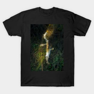 Pegasus Rising T-Shirt